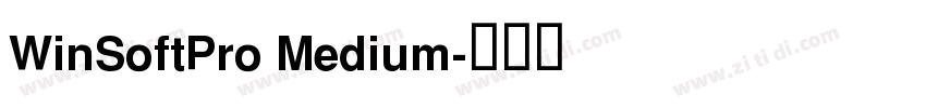 WinSoftPro Medium字体转换 WinSoftPro Medium字体转换